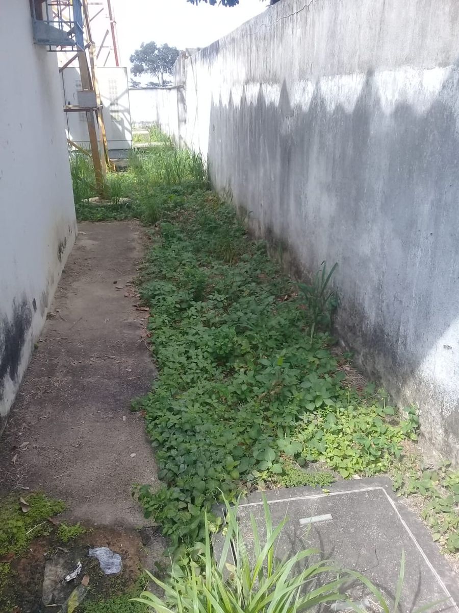 boa-esperanca (3)