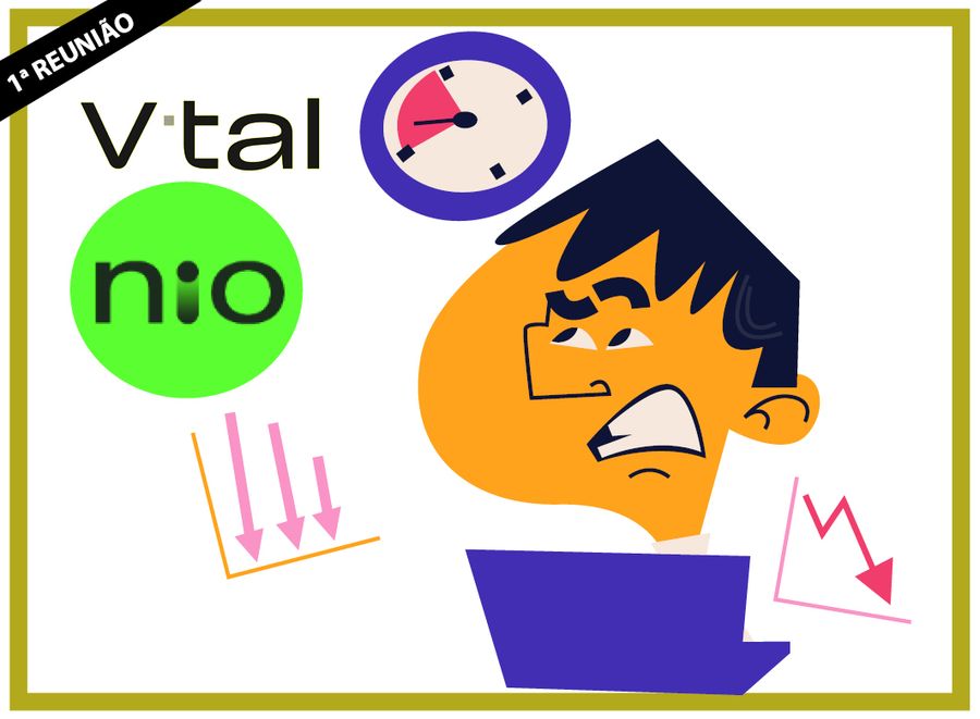 destaque 1 vital nio 11