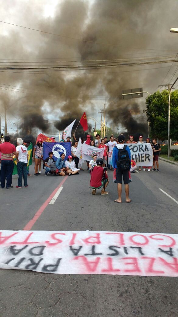 greeve-geral (6)