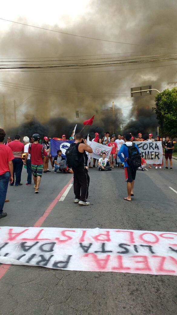 greeve-geral (7)
