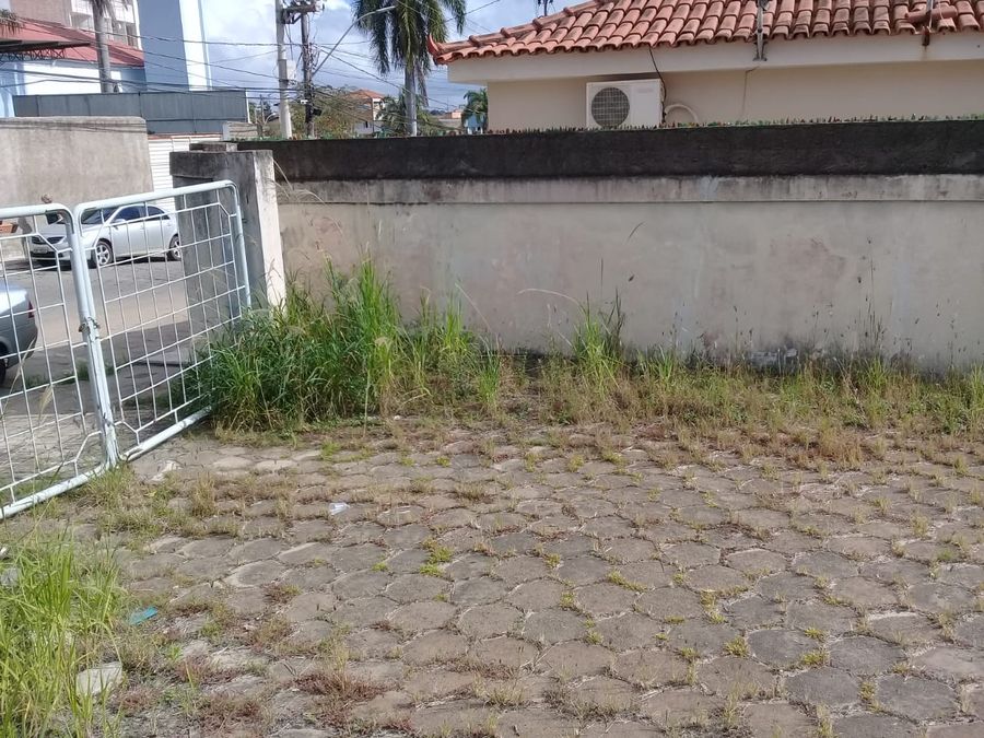 pinheiros (3)