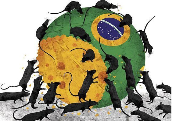 ratos_foto_reproducao